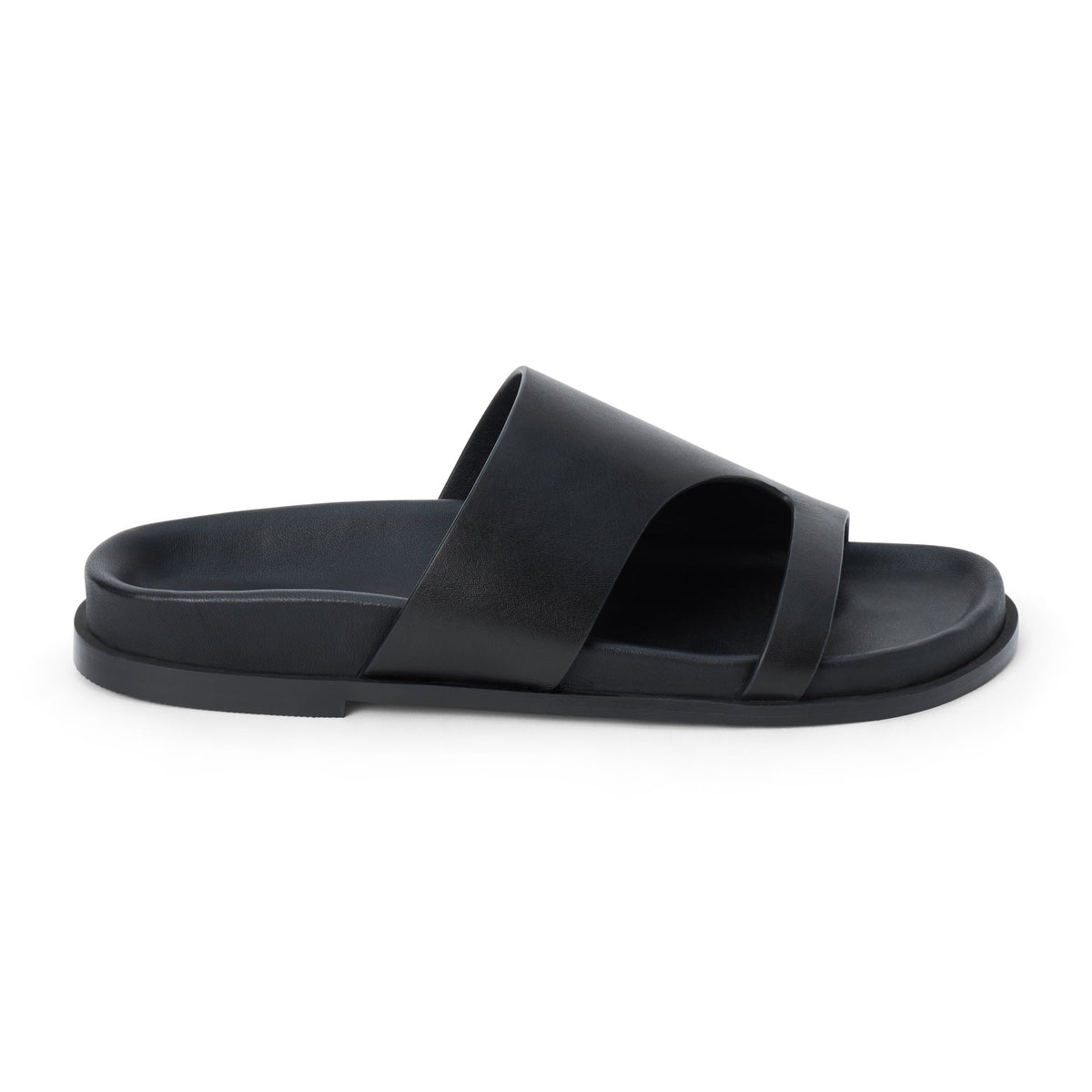 Black,5