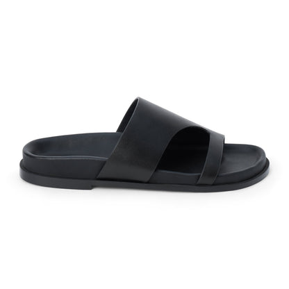 Black,5