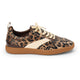 Brown Leopard