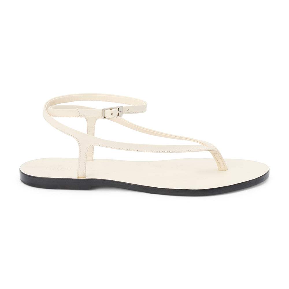 Ivory,5.5
