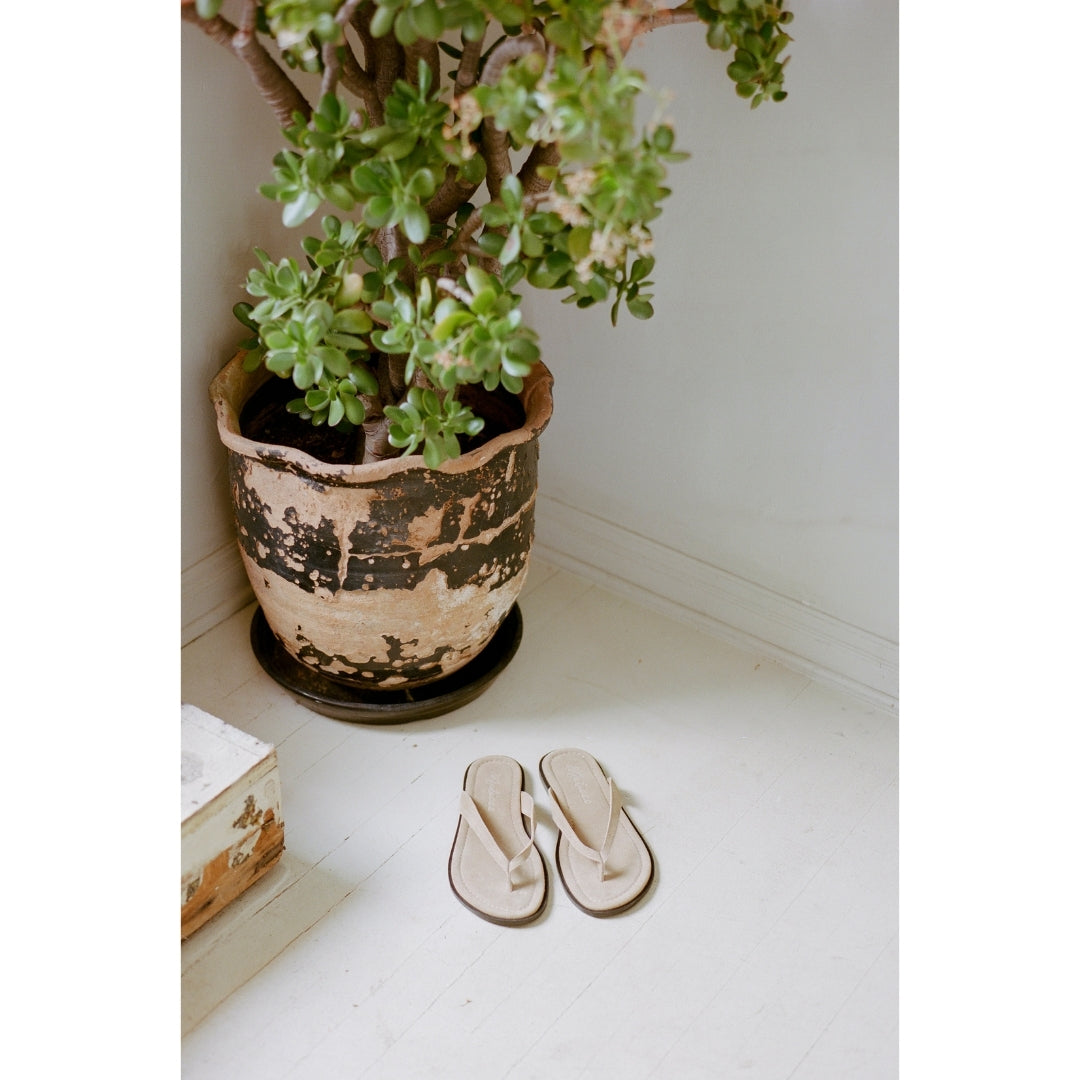 Leo flip flop sandal Taupe | Matisse Footwear