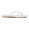 Bone